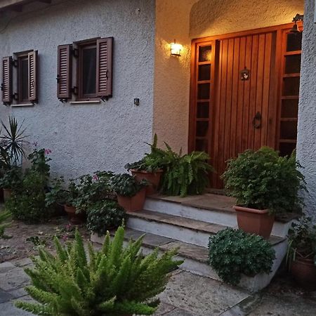 Nafpaktos Cottage By The Sea For Travelers And Dreamers! Eksteriør bilde