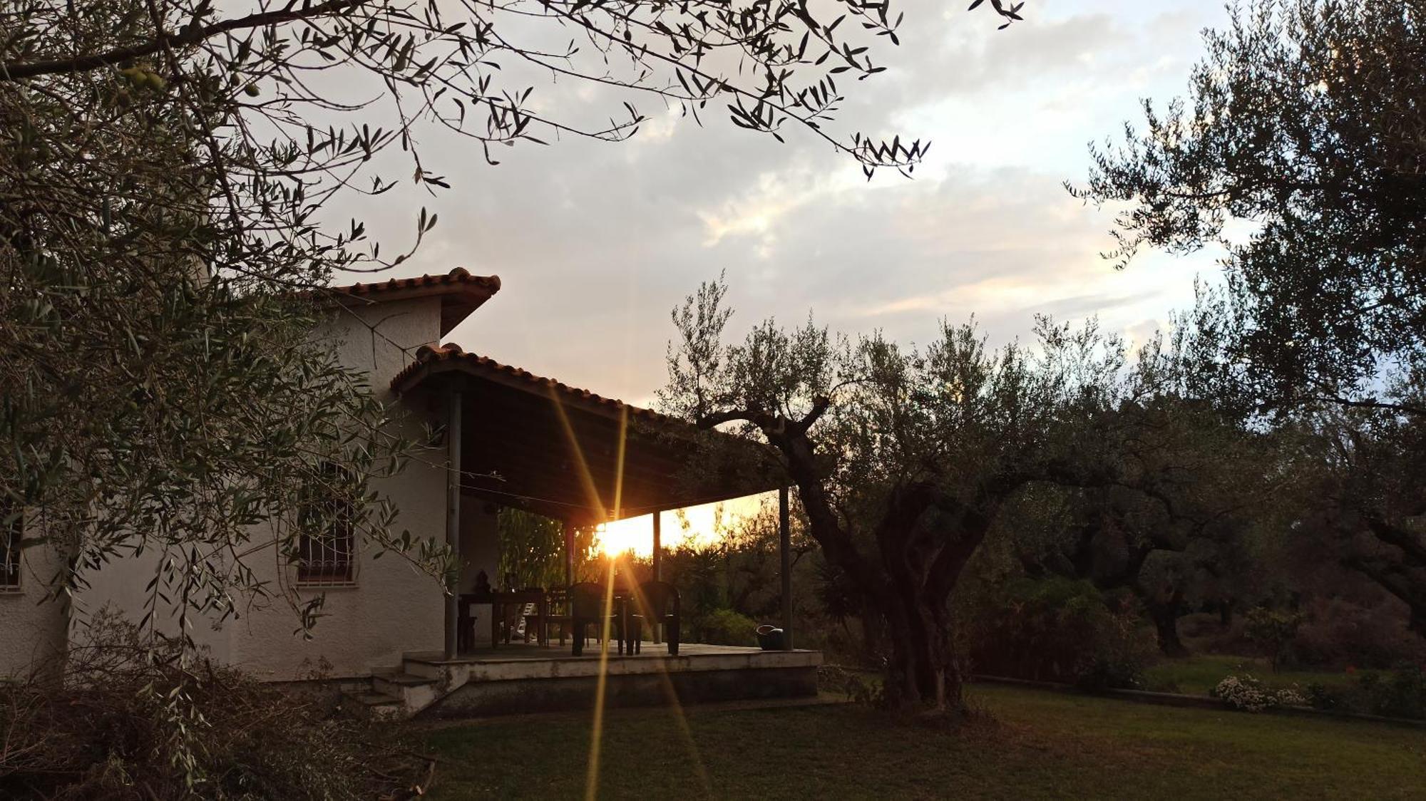 Nafpaktos Cottage By The Sea For Travelers And Dreamers! Eksteriør bilde