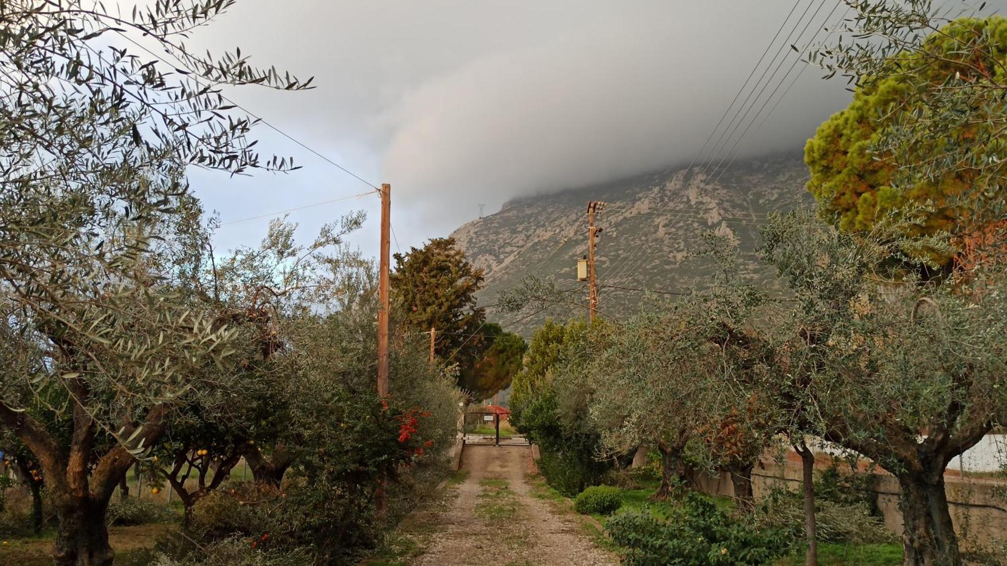 Nafpaktos Cottage By The Sea For Travelers And Dreamers! Eksteriør bilde