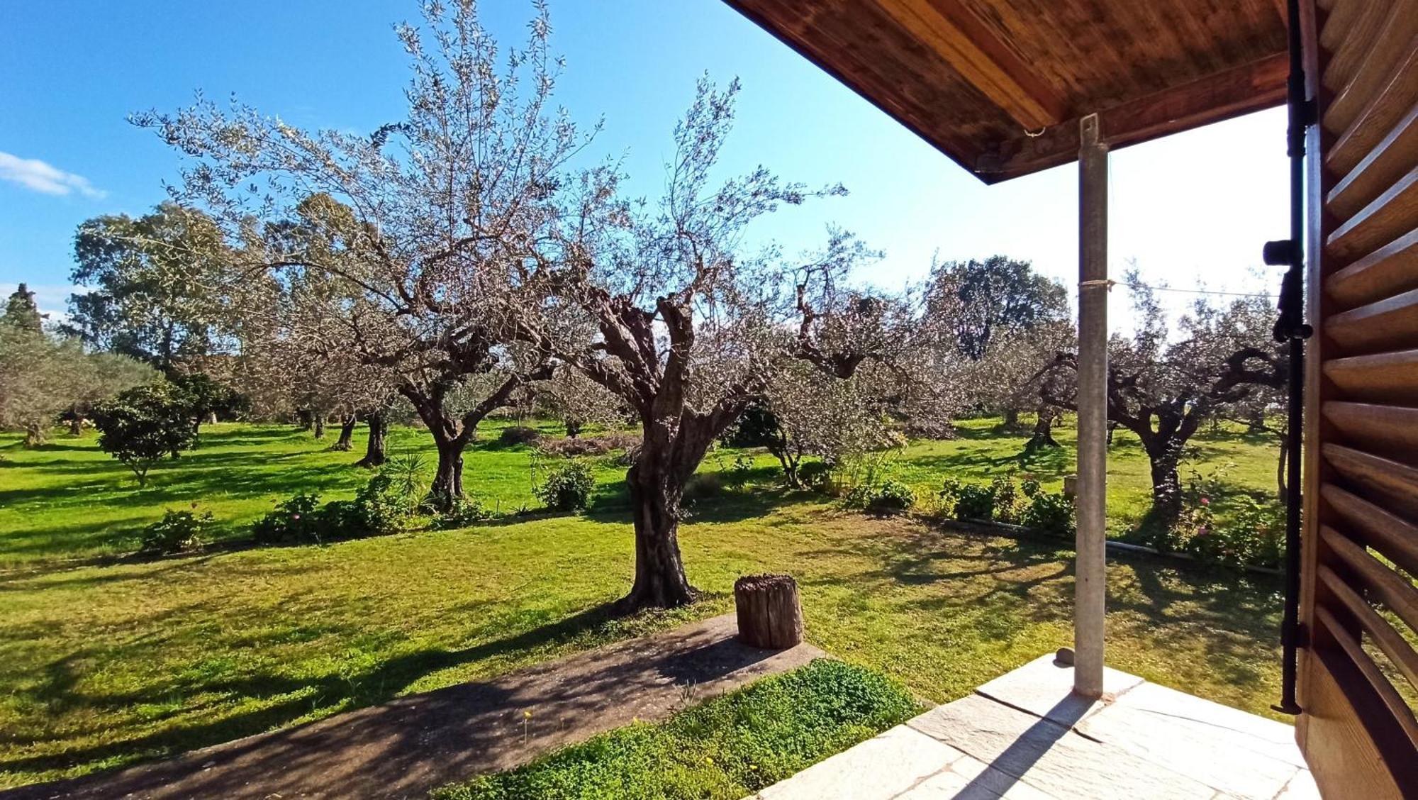 Nafpaktos Cottage By The Sea For Travelers And Dreamers! Eksteriør bilde